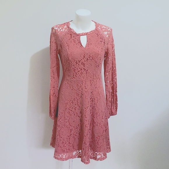 Preview Dresses & Skirts - Preview size 8 rose pink lace dress